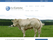 Tablet Screenshot of lagantoise.com